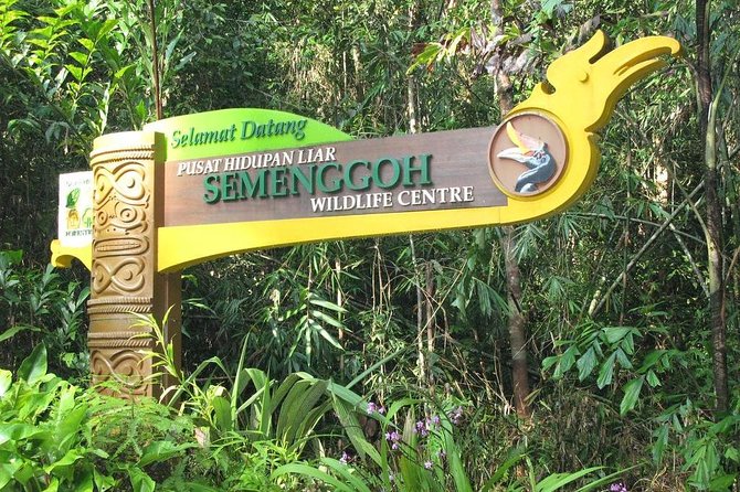 How to Get to Semenggoh Nature Reserve from Kuching: Transport Guide for Travelers