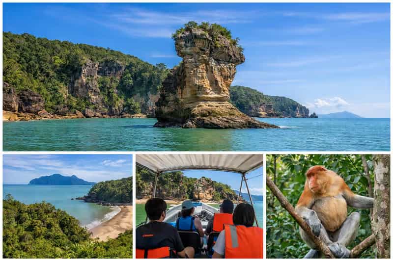 Semenggoh vs Bako National Park: Which Wildlife Experience Is Better?